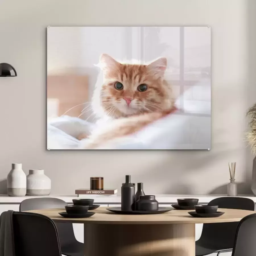 MuchoWow Glasschilderij 80x60 cm Schilderij acrylglas Kat Rood Bed Meisjes Kinderen Jongens Kids Foto op glas Schilderijen