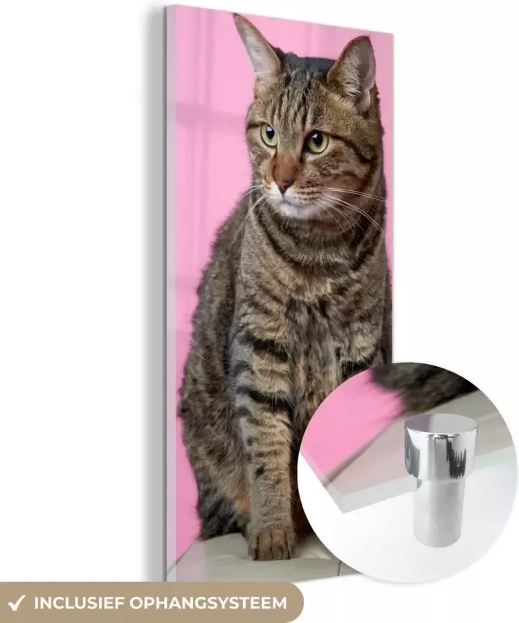 MuchoWow Glasschilderij 40x80 cm Schilderij acrylglas Kat Roze Poef Meisjes Kinderen Meiden Kind Foto op glas Schilderijen - Foto 2