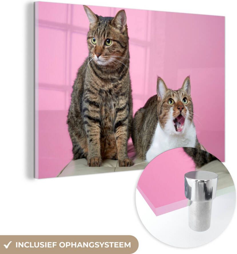 MuchoWow Glasschilderij 60x40 cm Schilderij acrylglas Kat Roze Poef Meisjes Kinderen Meiden Kind Foto op glas Schilderijen