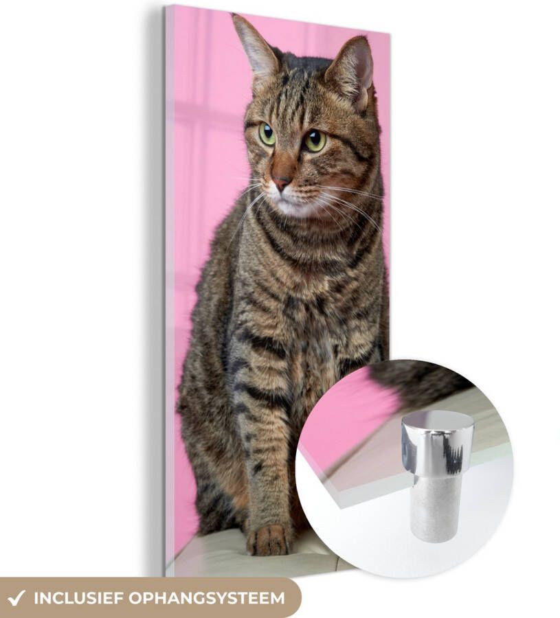 MuchoWow Glasschilderij 80x160 cm Schilderij acrylglas Kat Roze Poef Meisjes Kinderen Meiden Kind Foto op glas Schilderijen