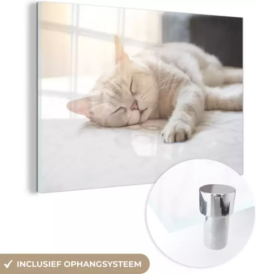 MuchoWow Glasschilderij 180x120 cm Schilderij acrylglas Kat slaapt op bed Foto op glas Schilderijen