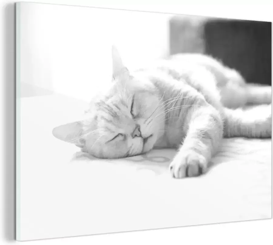 MuchoWow Glasschilderij Kat slaapt op bed zwart wit 30x20 cm Acrylglas Schilderijen Foto op Glas