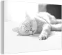 MuchoWow Glasschilderij 60x40 cm Schilderij acrylglas Kat slaapt op bed zwart wit Foto op glas Schilderijen - Thumbnail 2