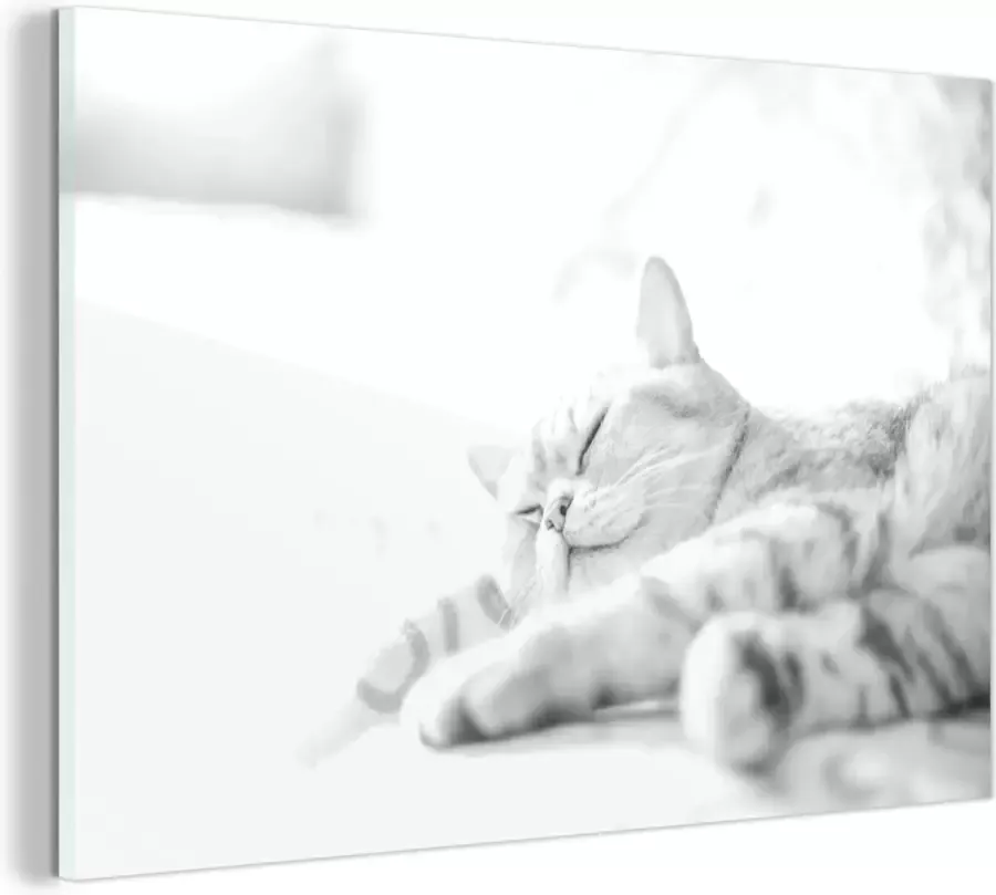 MuchoWow Glasschilderij Kat slaapt op de bank zwart wit 120x80 cm Acrylglas Schilderijen Foto op Glas