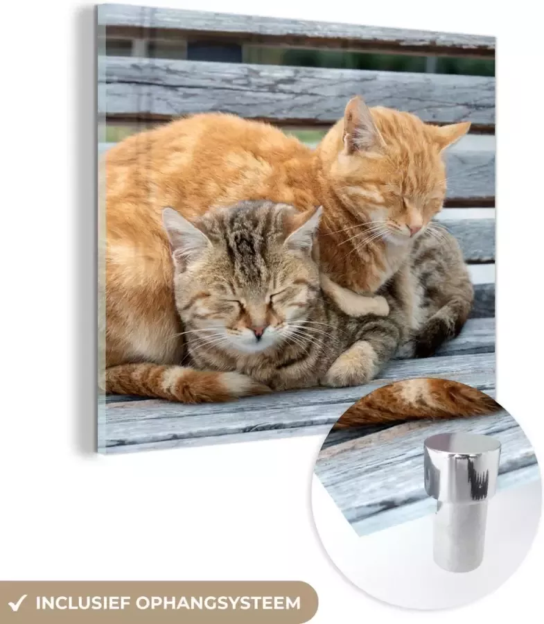 MuchoWow Glasschilderij 20x20 cm Schilderij acrylglas Kat Slapen Bank Foto op glas Schilderijen - Foto 2