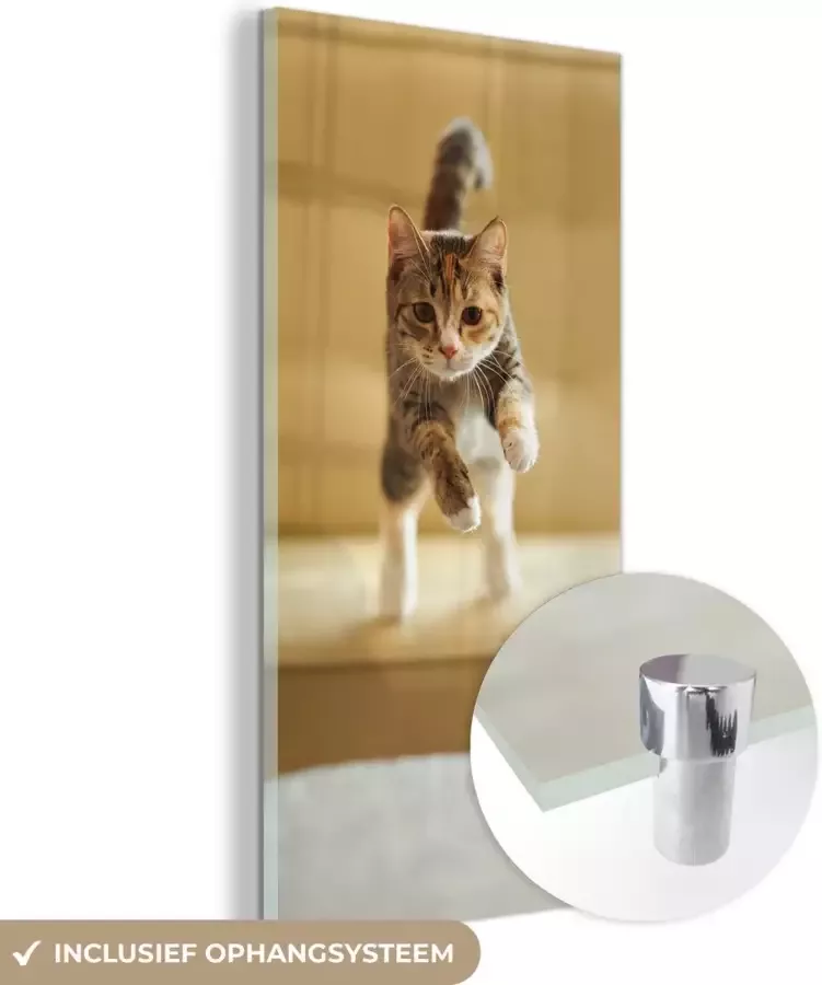 MuchoWow Glasschilderij 60x120 cm Schilderij glas Kat Spring Stoel Foto op acrylglas Schilderijen - Foto 4