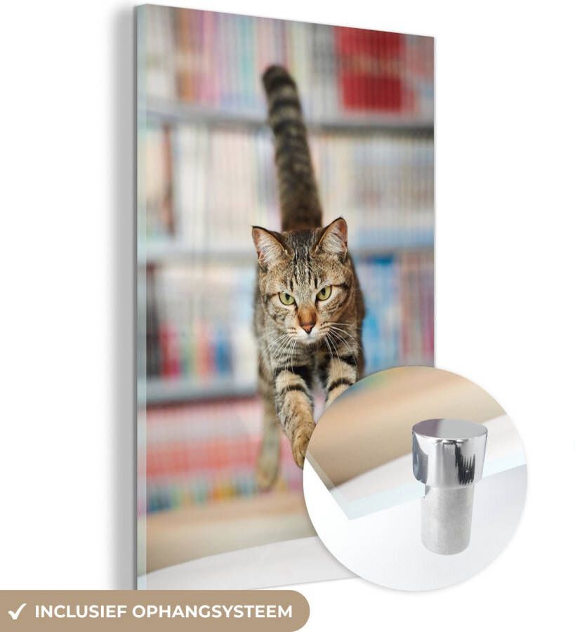 MuchoWow Glasschilderij 60x90 cm Schilderij glas Kat Spring Stoel Foto op acrylglas Schilderijen