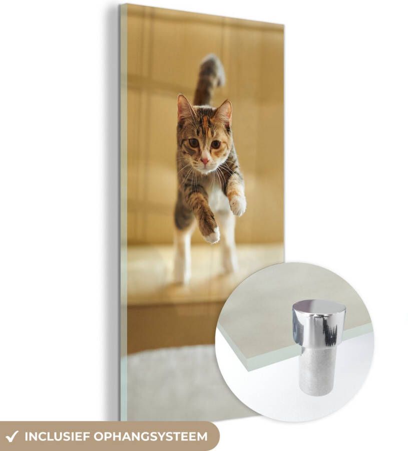 MuchoWow Glasschilderij 80x160 cm Schilderij glas Kat Spring Stoel Foto op acrylglas Schilderijen