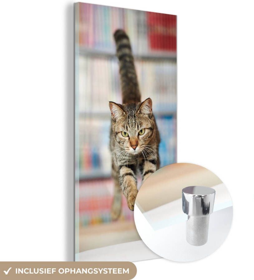 MuchoWow Glasschilderij 80x160 cm Schilderij glas Kat Spring Stoel Foto op acrylglas Schilderijen - Foto 2