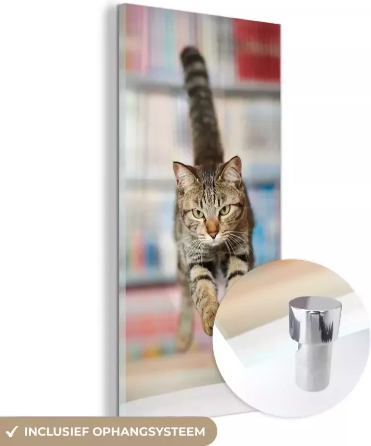 MuchoWow Glasschilderij 80x160 cm Schilderij glas Kat Spring Stoel Foto op acrylglas Schilderijen - Foto 4