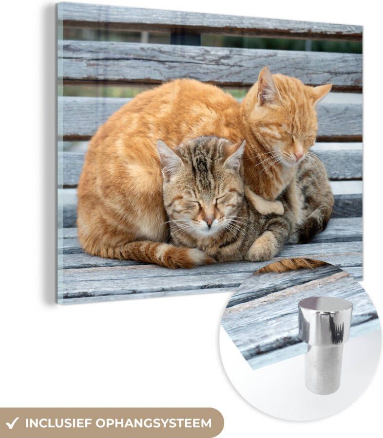 MuchoWow Glasschilderij 120x90 cm Schilderij acrylglas Katten Bank Hout Foto op glas Schilderijen