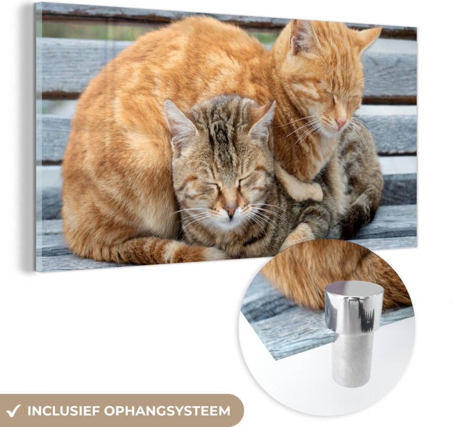 MuchoWow Glasschilderij 160x80 cm Schilderij acrylglas Katten Bank Hout Foto op glas Schilderijen