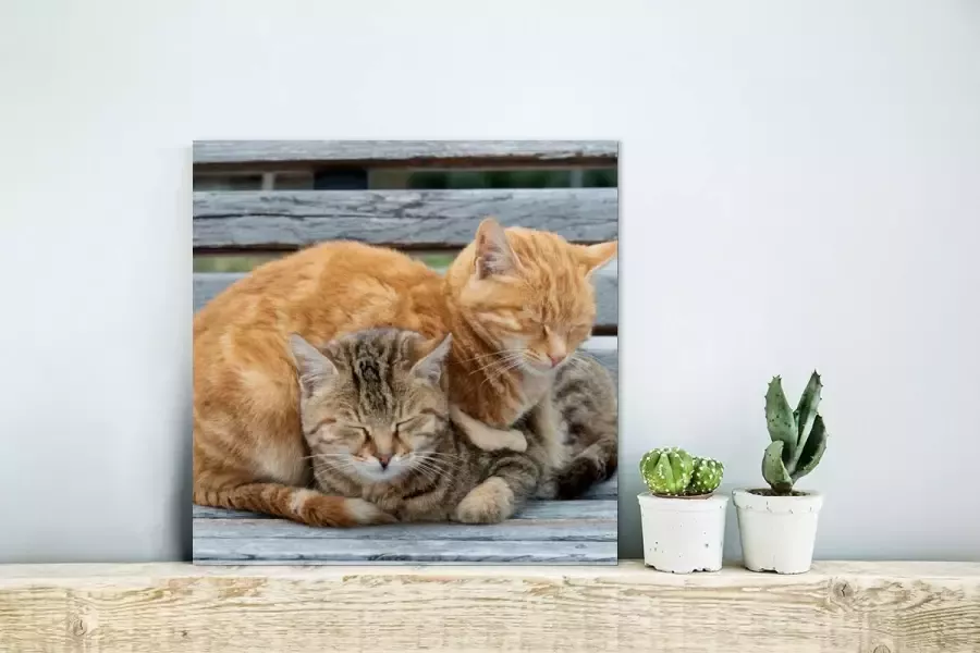 MuchoWow Glasschilderij Katten Bank Hout 20x20 cm Acrylglas Schilderijen Foto op Glas