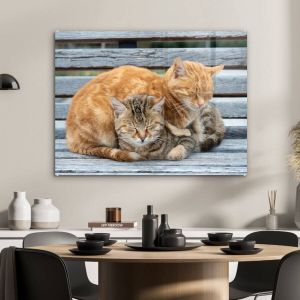 MuchoWow Glasschilderij Katten Bank Hout 80x60 cm Acrylglas Schilderijen Foto op Glas