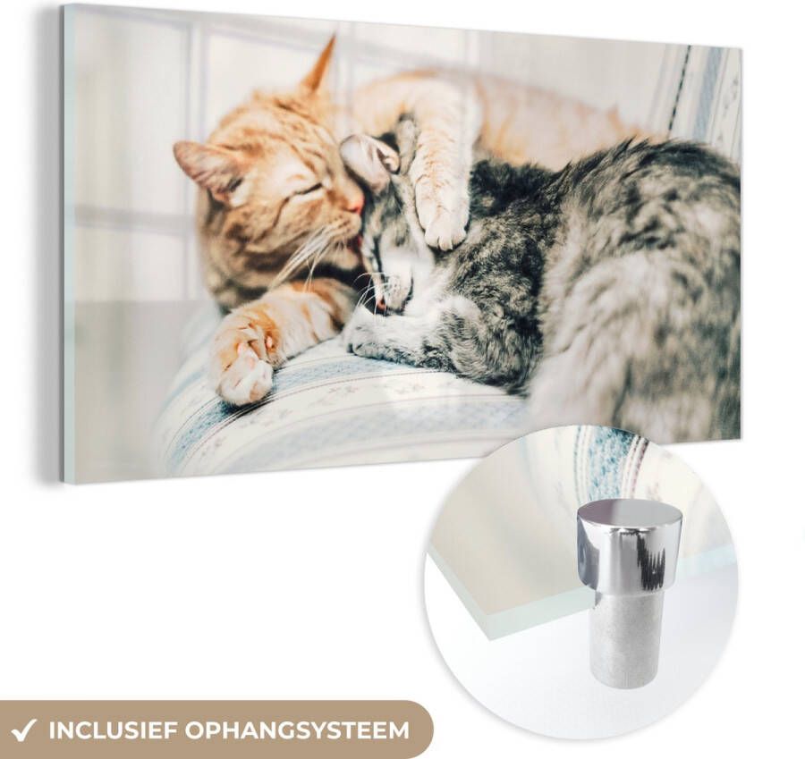 MuchoWow Glasschilderij 120x60 cm Schilderij glas Katten Bank Woonkamer Foto op acrylglas Schilderijen