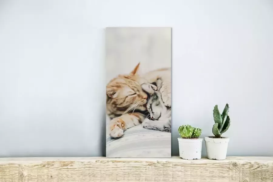 MuchoWow Glasschilderij Katten Bank Woonkamer 20x40 cm Acrylglas Schilderijen Foto op Glas