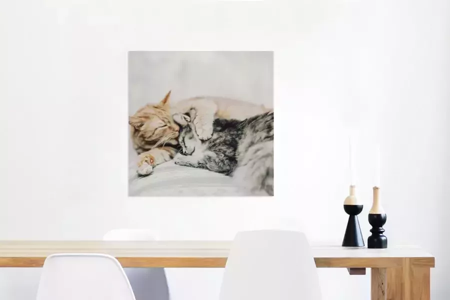 Glasschilderij 50x50 cm Schilderij acrylglas Katten Bank Woonkamer Foto op glas Muurdecoratie woonkamer Wanddecoratie slaapkamer Schilderijen