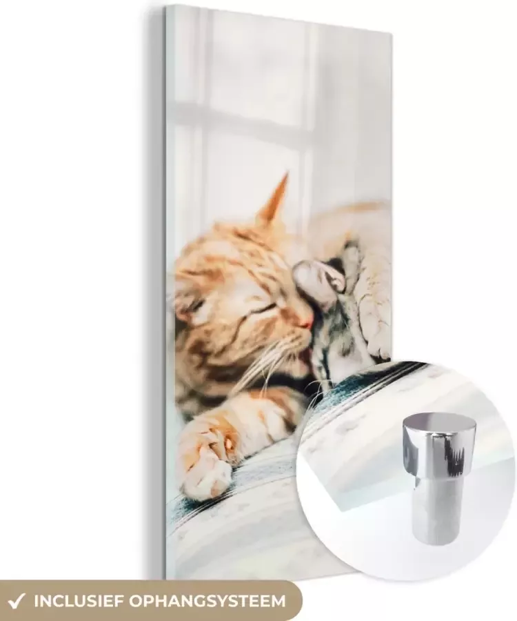 MuchoWow Glasschilderij 80x160 cm Schilderij glas Katten Bank Woonkamer Foto op acrylglas Schilderijen - Foto 2