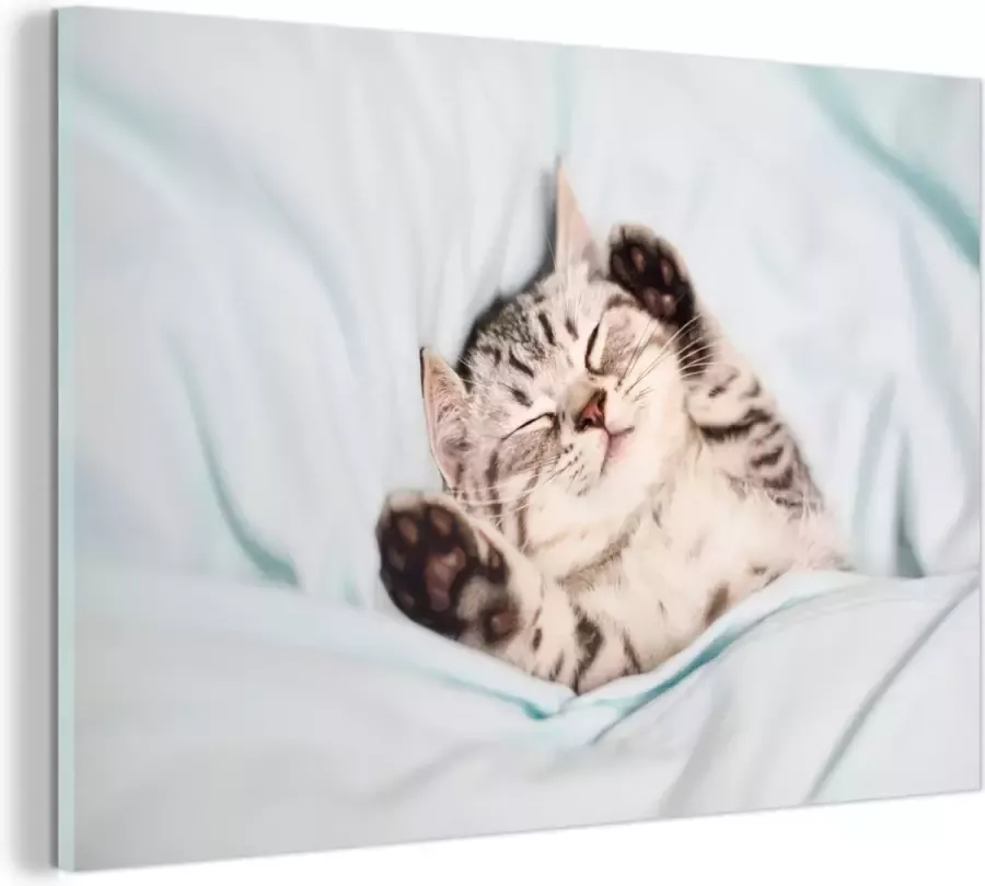 MuchoWow Glasschilderij Kitten Bed Poten 60x40 cm Acrylglas Schilderijen Foto op Glas