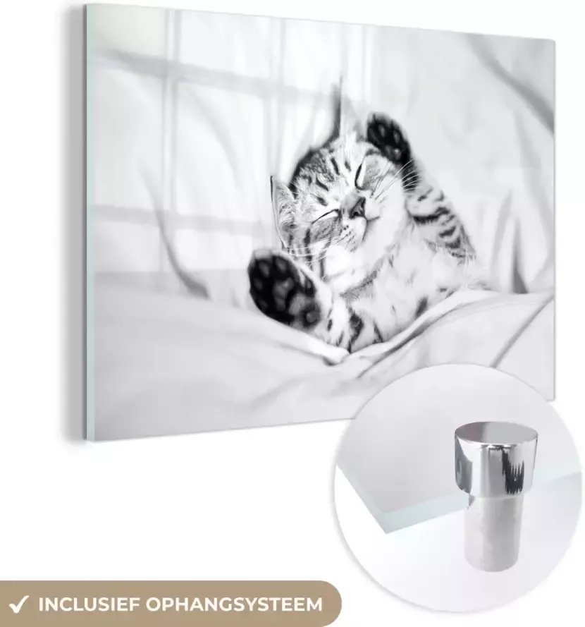 MuchoWow Glasschilderij 150x100 cm Schilderij glas Kitten Bed Poten Meisjes Kinderen Jongens Kind Foto op acrylglas Schilderijen