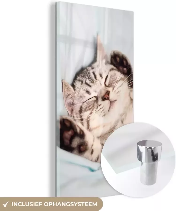 MuchoWow Glasschilderij 40x80 cm Schilderij acrylglas Kitten Bed Poten Meisjes Kinderen Jongens Kind Foto op glas Schilderijen - Foto 2