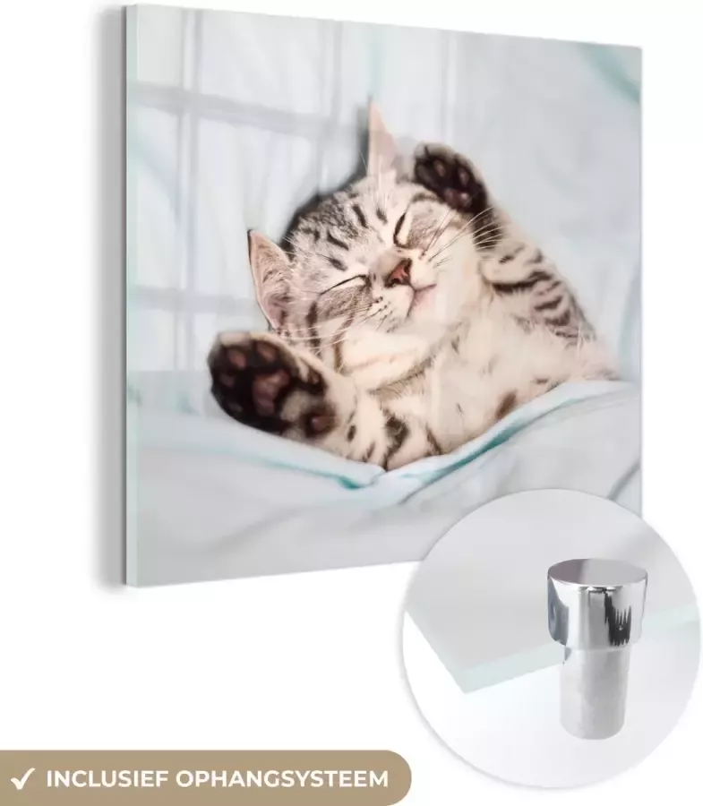 MuchoWow Glasschilderij 90x90 cm Schilderij acrylglas Kitten Bed Poten Meisjes Kinderen Jongens Kind Foto op glas Schilderijen - Foto 2