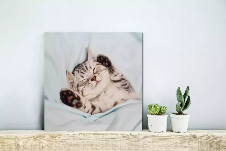 MuchoWow Glasschilderij Kitten Grappig Bed 20x20 cm Acrylglas Schilderijen Foto op Glas