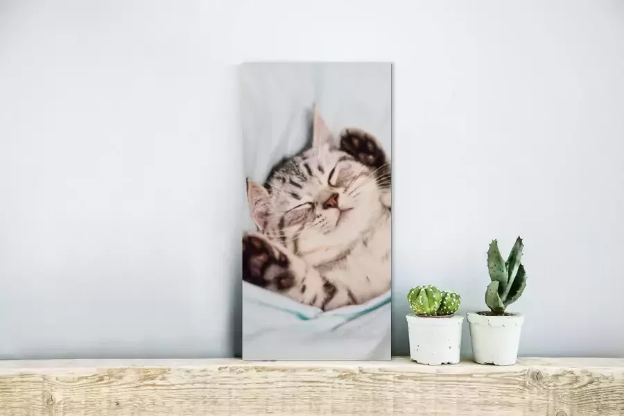 MuchoWow Glasschilderij 20x40 cm Schilderij acrylglas Kitten Grappig Bed Kinderen Jongens Meisjes Kids Foto op glas Schilderijen - Foto 3