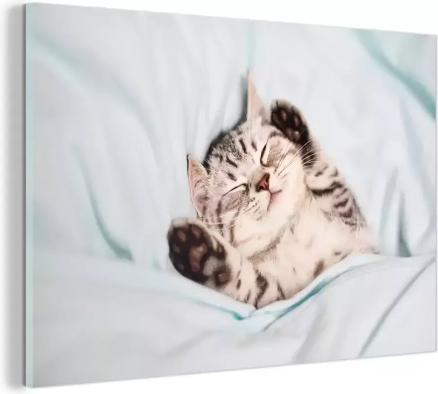 Glasschilderij 30x20 cm Schilderij acrylglas Kitten Grappig Bed Kinderen Jongens Meisjes Kids Foto op glas Muurdecoratie woonkamer Wanddecoratie slaapkamer Schilderijen