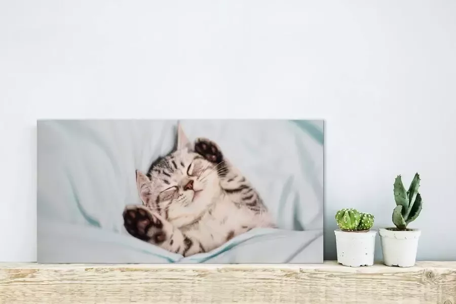 MuchoWow Glasschilderij Kitten Grappig Bed 40x20 cm Acrylglas Schilderijen Foto op Glas