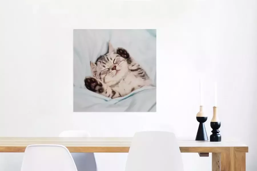 MuchoWow Glasschilderij Kitten Grappig Bed 50x50 cm Acrylglas Schilderijen Foto op Glas