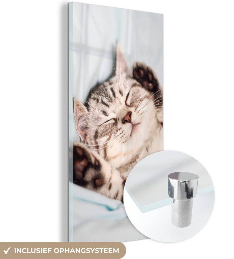 MuchoWow Glasschilderij 20x40 cm Schilderij acrylglas Kitten Grappig Bed Kinderen Jongens Meisjes Kids Foto op glas Schilderijen