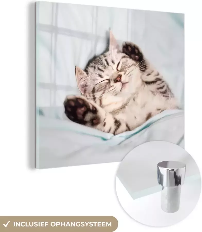 MuchoWow Glasschilderij Kitten Grappig Bed Kinderen Jongens Meisjes Kids 50x50 cm Acrylglas Schilderijen Foto op Glas