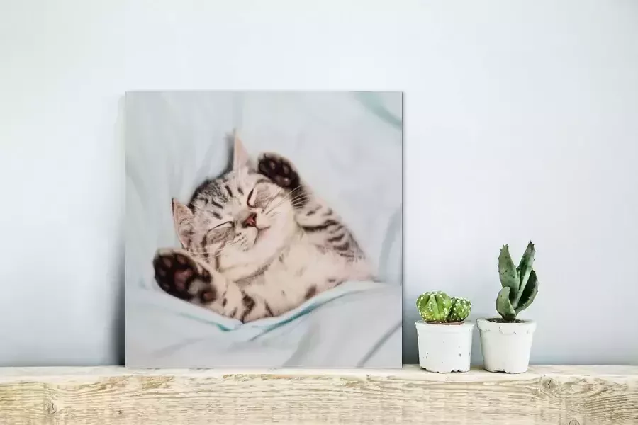 MuchoWow Glasschilderij 20x20 cm Schilderij glas Kitten Slaap Bed Foto op acrylglas Schilderijen - Foto 2