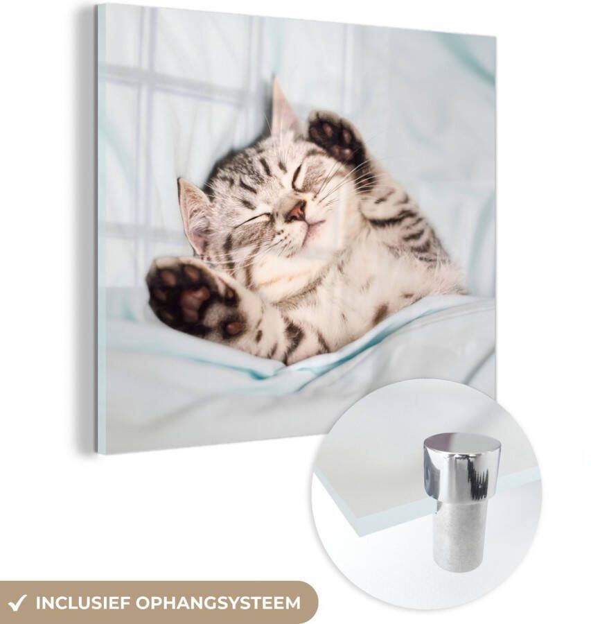 MuchoWow Glasschilderij 20x20 cm Schilderij glas Kitten Slaap Bed Foto op acrylglas Schilderijen