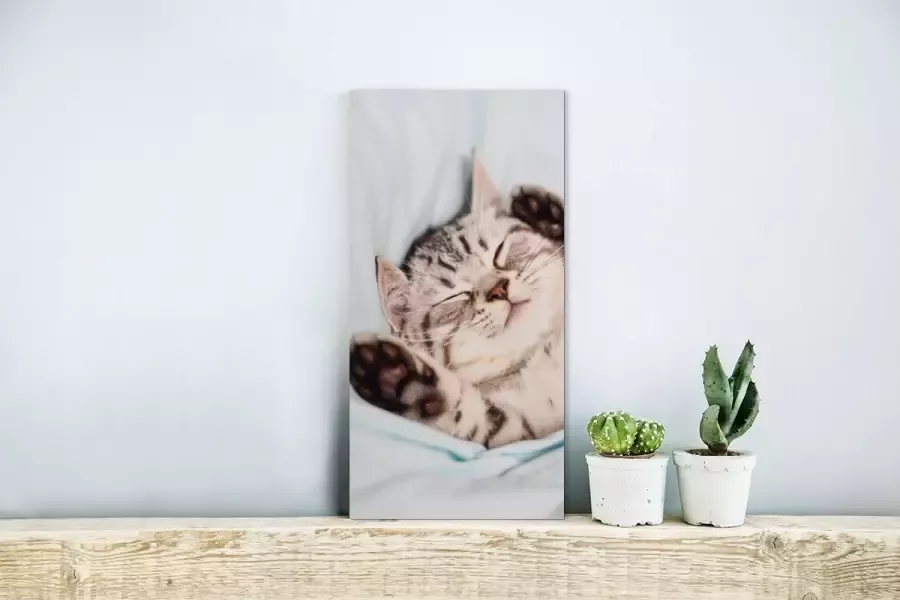 MuchoWow Glasschilderij Kitten Slaap Bed 20x40 cm Acrylglas Schilderijen Foto op Glas