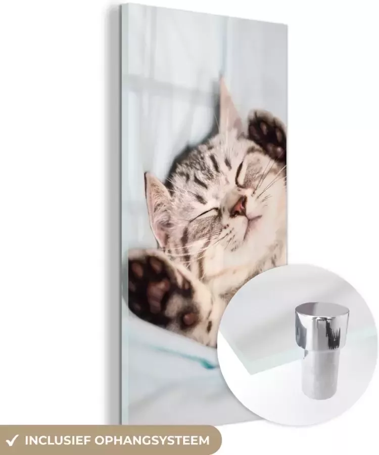MuchoWow Glasschilderij 20x40 cm Schilderij acrylglas Kitten Slaap Bed Foto op glas Schilderijen - Foto 2