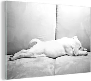 MuchoWow Glasschilderij Labrador puppy op bank zwart wit 150x100 cm Acrylglas Schilderijen Foto op Glas