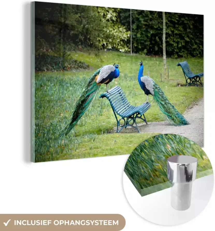 MuchoWow Glasschilderij 180x120 cm Schilderij glas Pauw Bank Park Foto op acrylglas Schilderijen