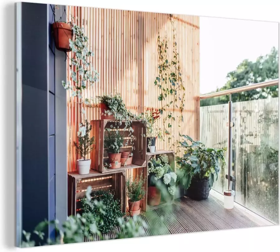 MuchoWow Glasschilderij Planten in een kast 30x20 cm Acrylglas Schilderijen Foto op Glas