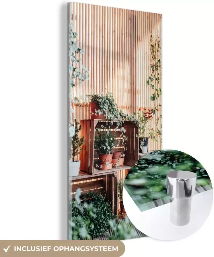 MuchoWow Glasschilderij Planten in een kast 60x120 cm Acrylglas Schilderijen Foto op Glas