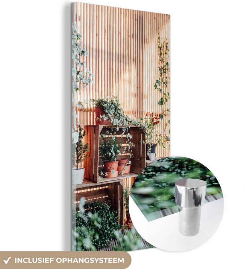 MuchoWow Glasschilderij Planten in een kast 80x160 cm Acrylglas Schilderijen Foto op Glas