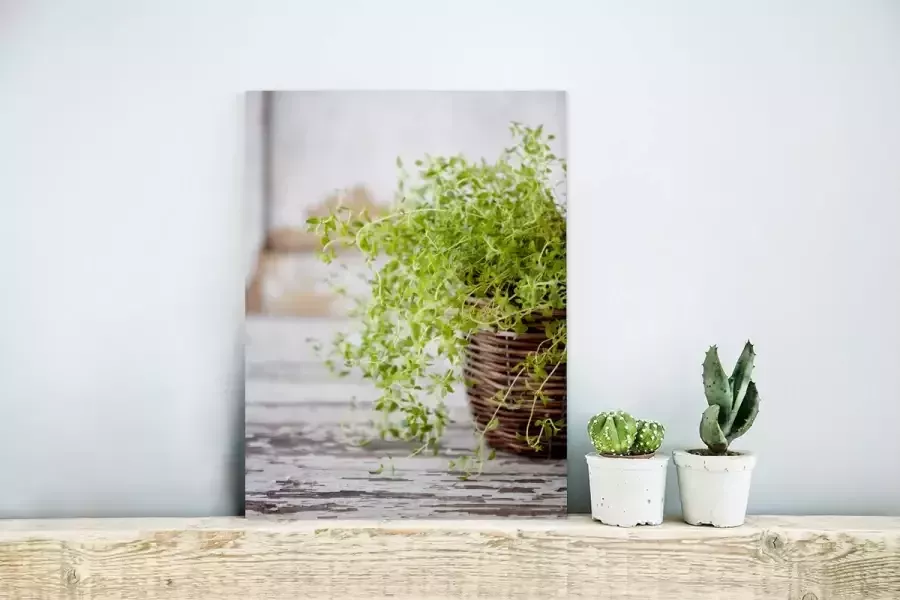 MuchoWow Glasschilderij Rieten mand met de lichtgroene tijm planten op een rustieke tafel 30x40 cm Acrylglas Schilderijen Foto op Glas