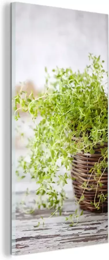 MuchoWow Glasschilderij Rieten mand met de lichtgroene tijm planten op een rustieke tafel 40x80 cm Acrylglas Schilderijen Foto op Glas
