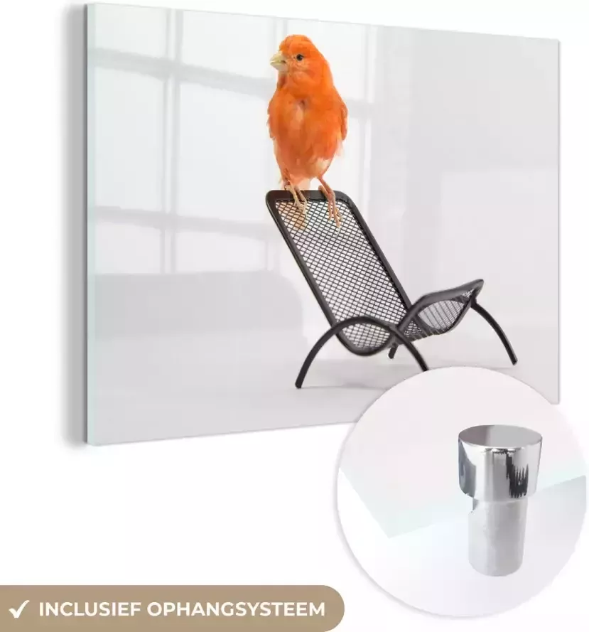 Glasschilderij 120x80 cm Schilderij acrylglas Rode kanarie op een stoel Foto op glas Muurdecoratie woonkamer Wanddecoratie slaapkamer Schilderijen - Foto 2