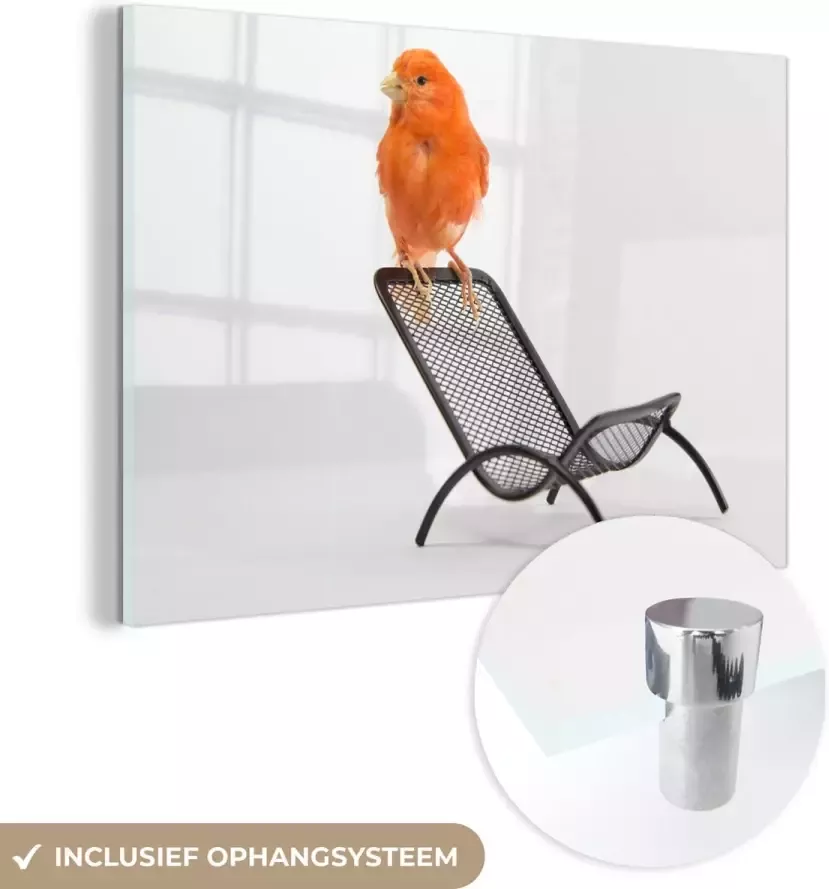 MuchoWow Glasschilderij 150x100 cm Schilderij glas Rode kanarie op een stoel Foto op acrylglas Schilderijen