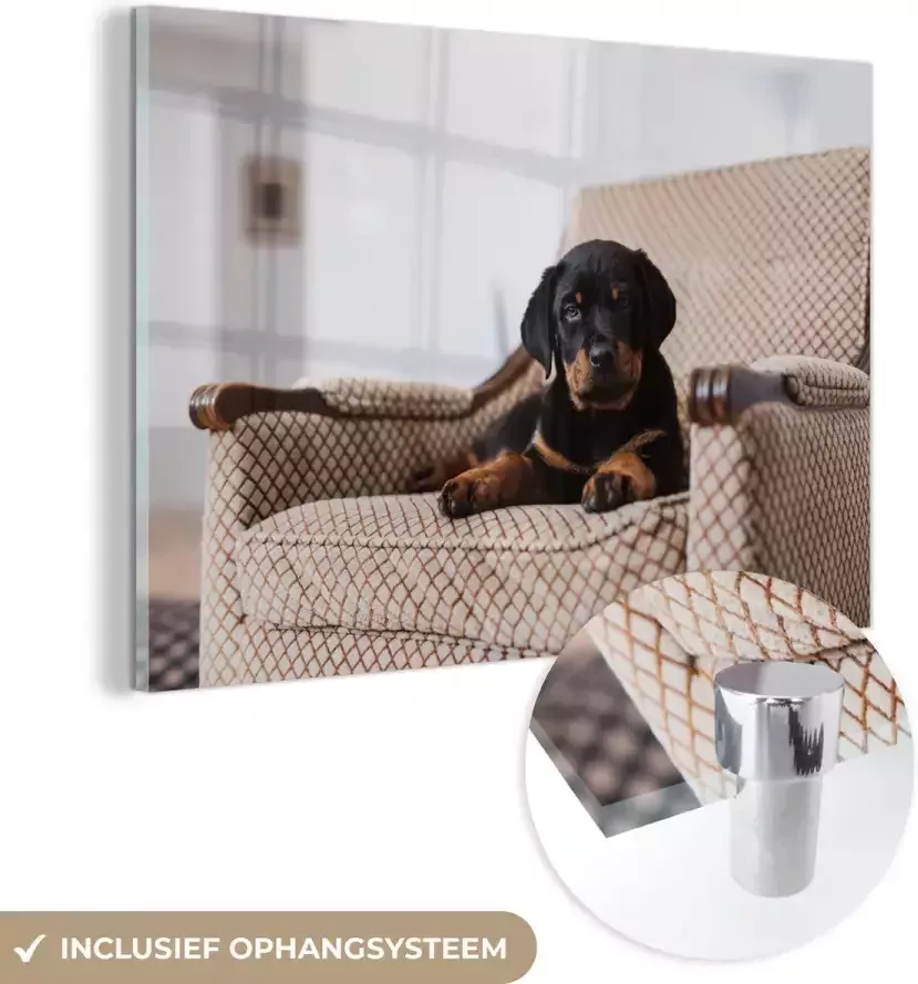Glasschilderij 150x100 cm Schilderij acrylglas Schattige Rottweiler puppy zit op een stoel Foto op glas Muurdecoratie woonkamer Wanddecoratie slaapkamer Schilderijen