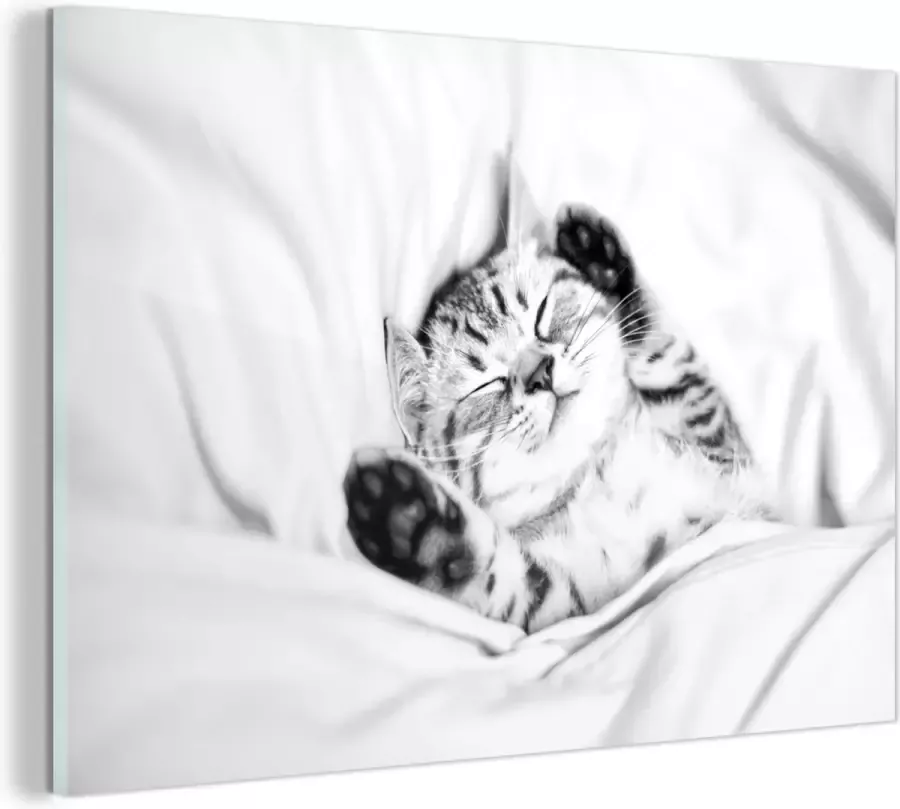 MuchoWow Glasschilderij Slapende kitten in bed zwart wit 120x80 cm Acrylglas Schilderijen Foto op Glas