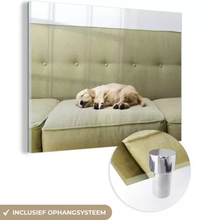 MuchoWow Glasschilderij 160x120 cm Schilderij acrylglas Slapende puppy op de bank Foto op glas Schilderijen - Foto 2
