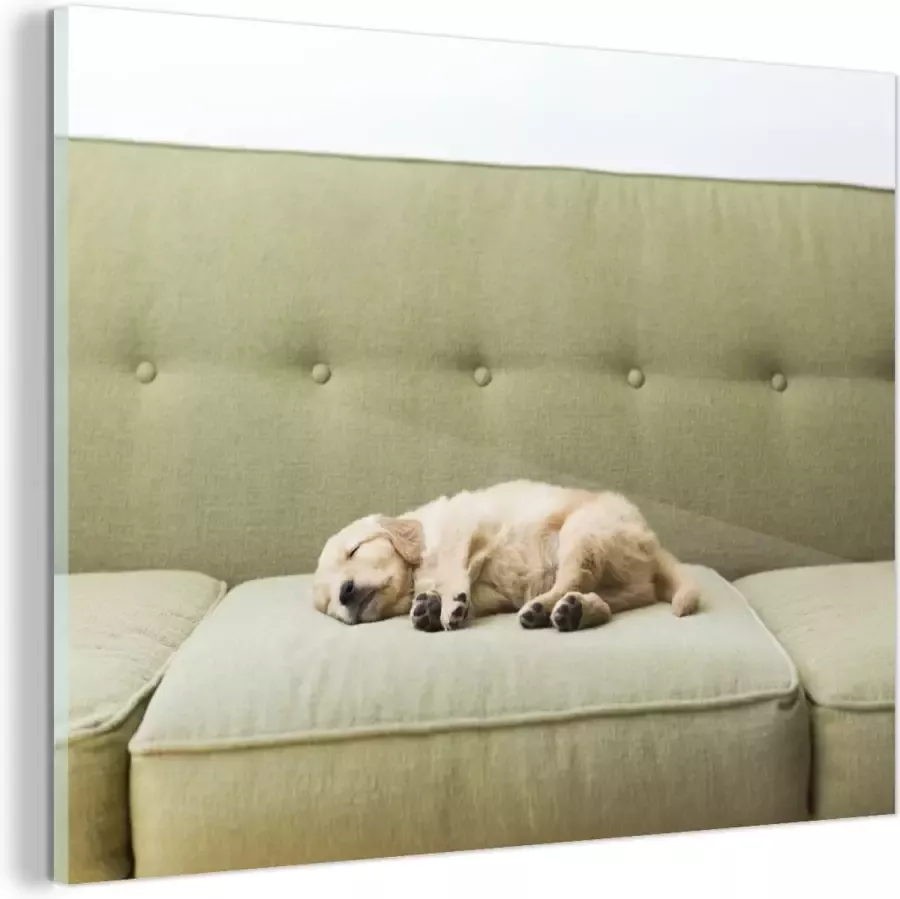 MuchoWow Glasschilderij Slapende puppy op de bank 80x60 cm Acrylglas Schilderijen Foto op Glas